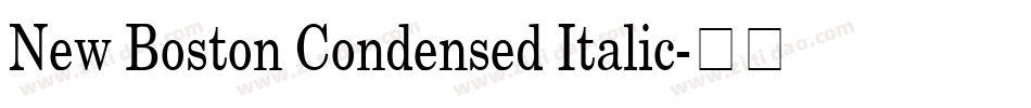 New Boston Condensed Italic字体转换